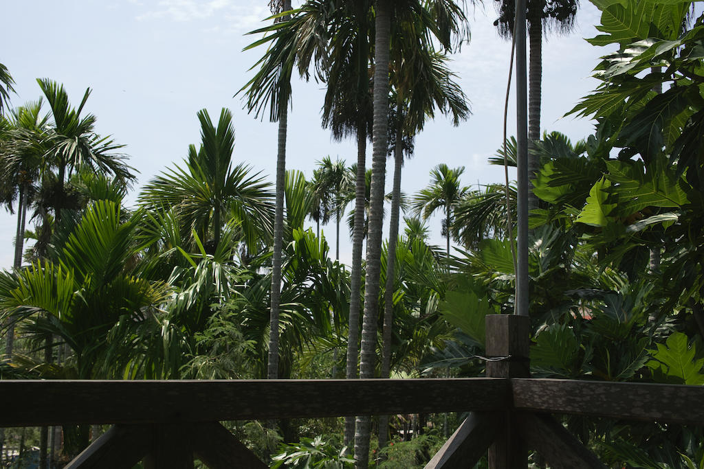 Lila Homestay Hoi An Exterior foto